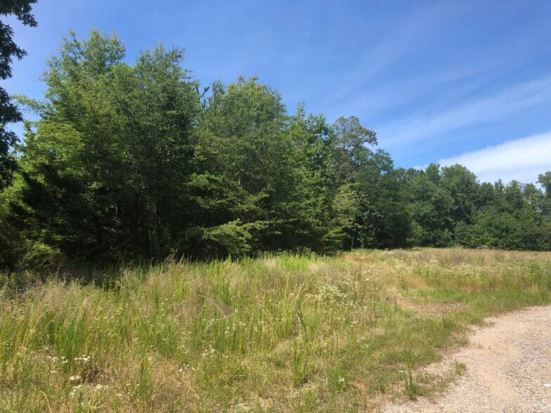 More Photos Of Opals Pl @ Billingsley Road, White Plains Land For Sale