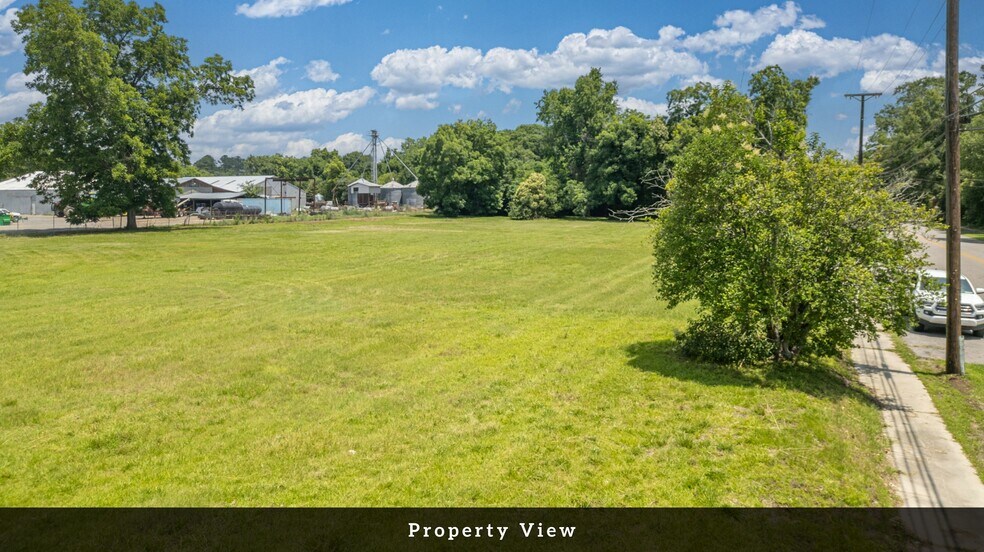 More Photos Of 1000 Peake St, Holly Hill Land For Sale