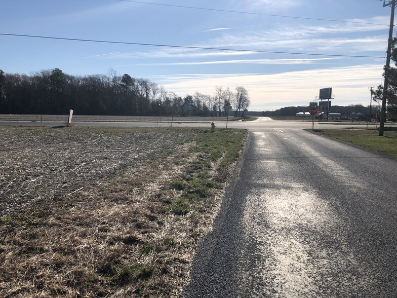 More Photos Of Route 113 & McCabe Rd, Selbyville Land For Sale
