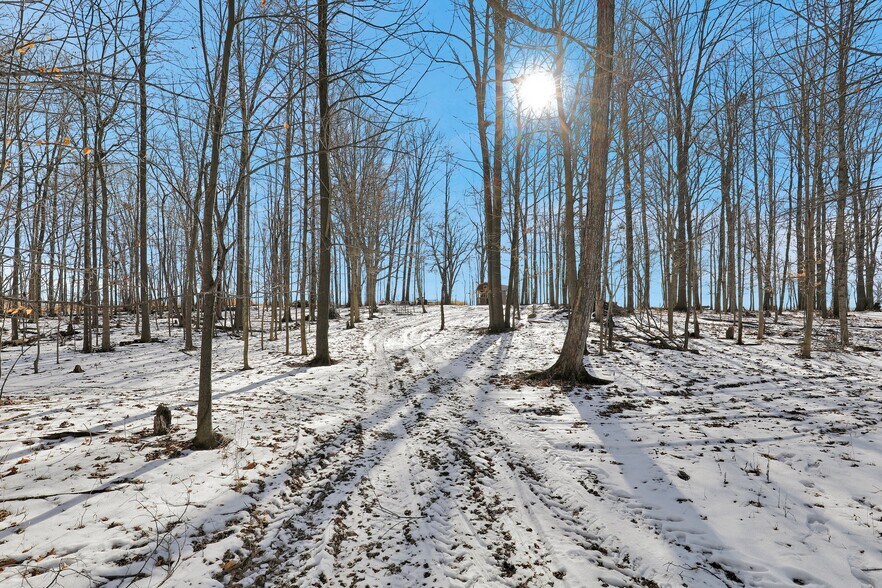 More Photos Of 2503 Butterfield Hwy, Springport Land For Sale