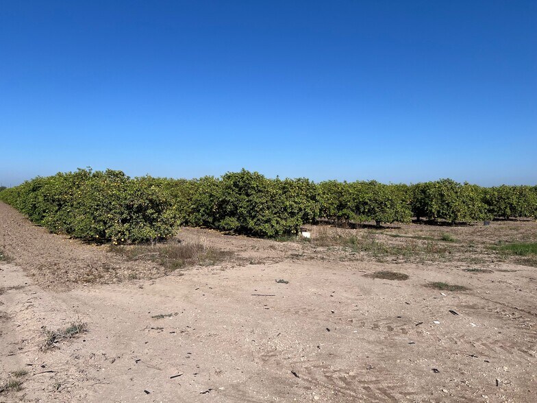 More Photos Of 424.43 Acs on E. Side of Pharr Intl. Bridge, Pharr Land For Sale