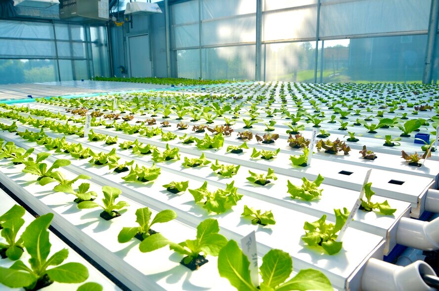 More Photos Of 2983 Mount Eden Rd, Shelbyville Land For Sale