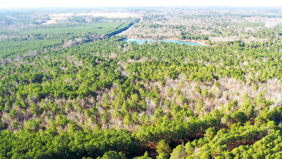 More Photos Of HWY 49 hwy, Jefferson Land For Sale