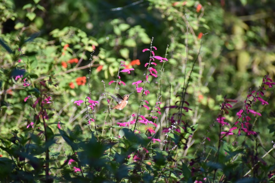 More Photos Of 540 Ella T Grasso Blvd, New Haven Research And Development For Lease