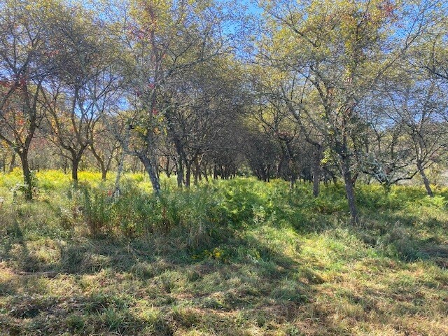 More Photos Of 989 NY-32, Wallkill Land For Sale