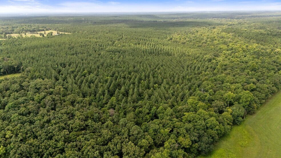 More Photos Of N US 259, Broken Bow Land For Sale