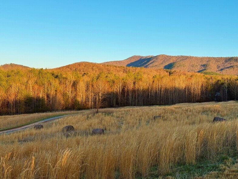 More Photos Of 142 Mace Rd, Casar Land For Sale