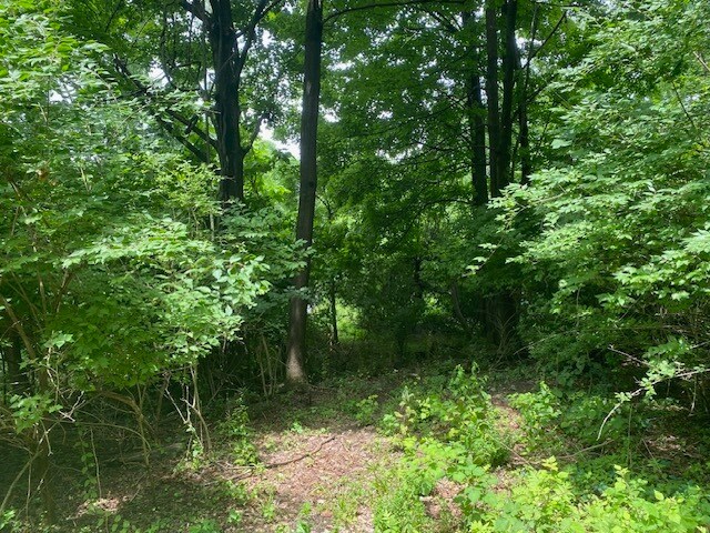 More Photos Of 24 Devito Dr, Newburgh Land For Sale