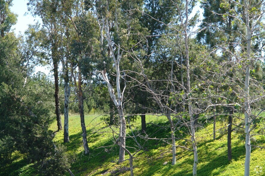 More Photos Of Sycamore Ave @ La Mirada Drive, Vista Land For Sale