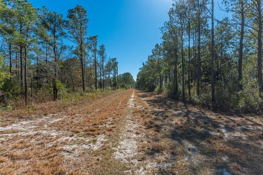 More Photos Of Hwy 331 S & Jolly Bay Road, Freeport Land For Sale