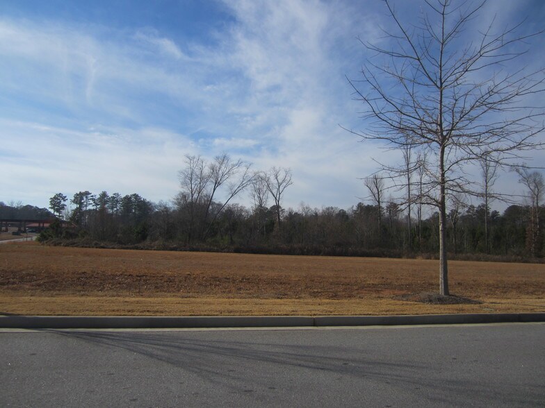 More Photos Of 130 Maple Xing, Carrollton Land For Sale