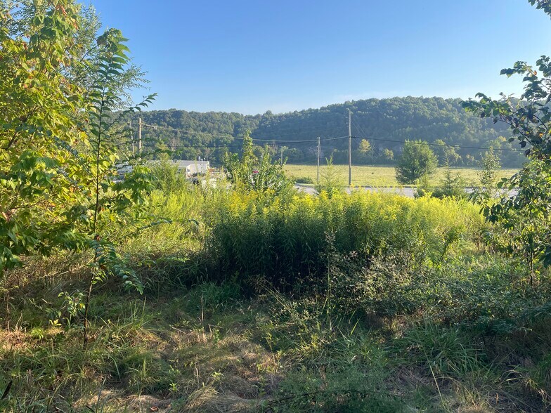 More Photos Of 328 Highway 65 S, Harrison Land For Sale