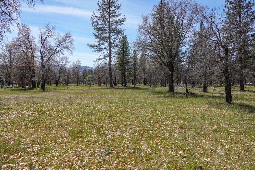 More Photos Of 2003 Kidder Creek Rd, Greenview Land For Sale