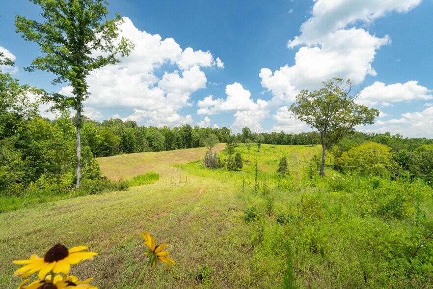 More Photos Of 1310 County Road 269, Wedowee Land For Sale