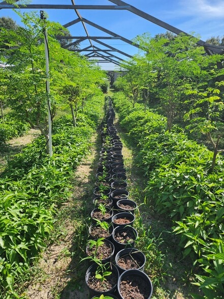 More Photos Of 3510 Walk in Water Rd, Lake Wales Winery Vineyard For Sale