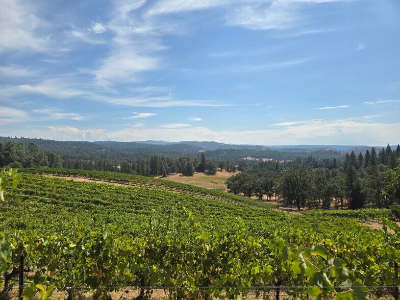 More Photos Of 4282 Pleasant Valley Rd, Placerville Specialty For Sale