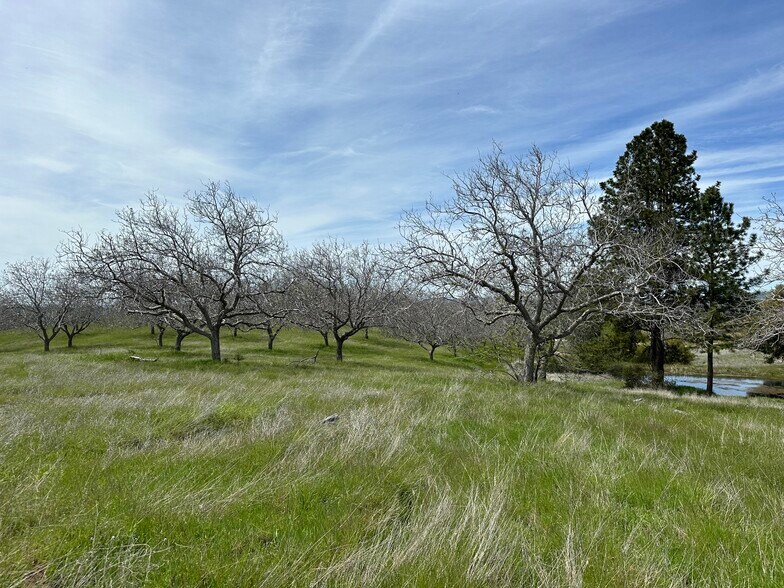 More Photos Of Hawk Haven Lane, Somerset Land For Sale