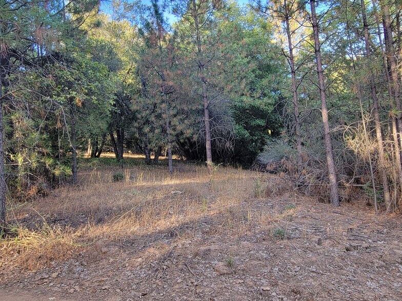 More Photos Of 3369 N Railroad Flat Rd, Wilseyville Land For Sale