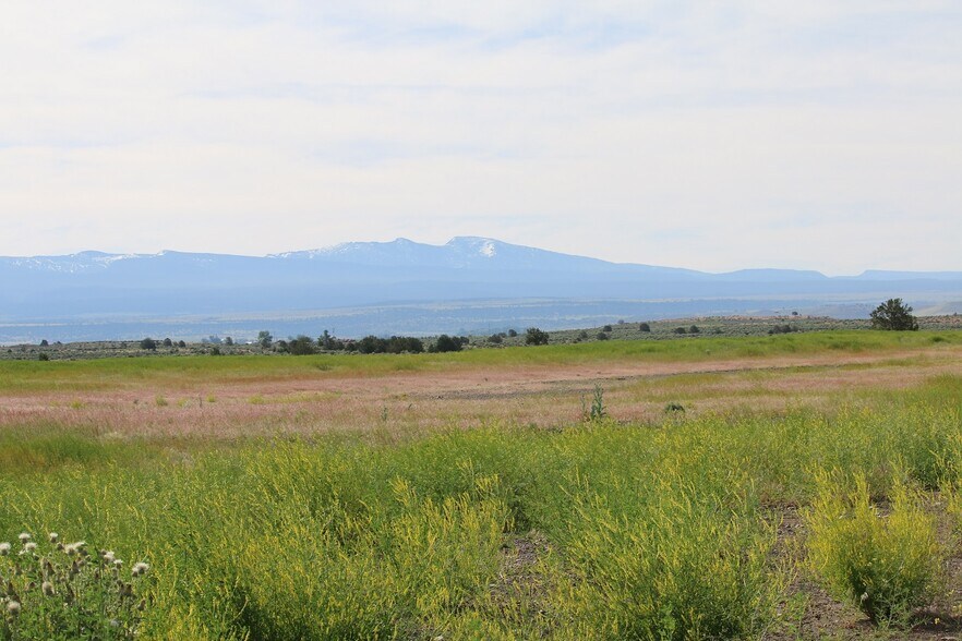 More Photos Of W 4th St, Alturas Land For Sale