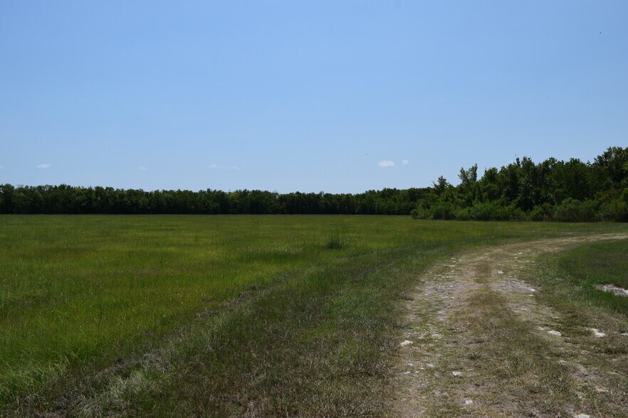 More Photos Of 9621 FM 521, Rosharon Land For Sale