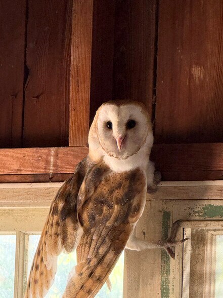 More Photos Of 1701 246 hwy, Buellton Land For Sale