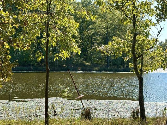 More Photos Of 201 Morgan Loop Rd Rd, DeWitt Land For Sale