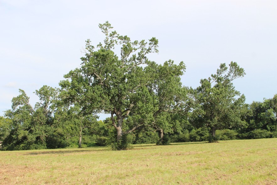 More Photos Of 14715 Medical Complex Dr, Tomball Land For Sale