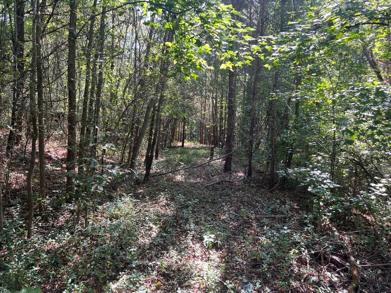More Photos Of 124 S Kelley St, Tallapoosa Land For Sale