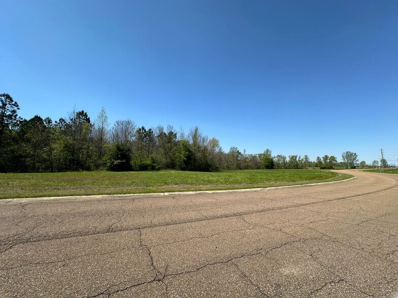 More Photos Of 11.73 acres W Side of Hwy 25 @ Carter Blvd, Starkville Land For Sale