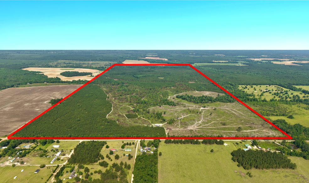 Primary Photo Of 17675 Cedar Springs Rd, Blakely Land For Sale