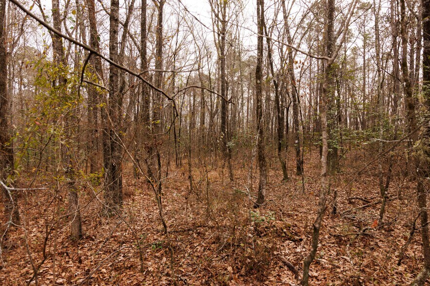 More Photos Of Jug Factory Road, Wetumpka Land For Sale