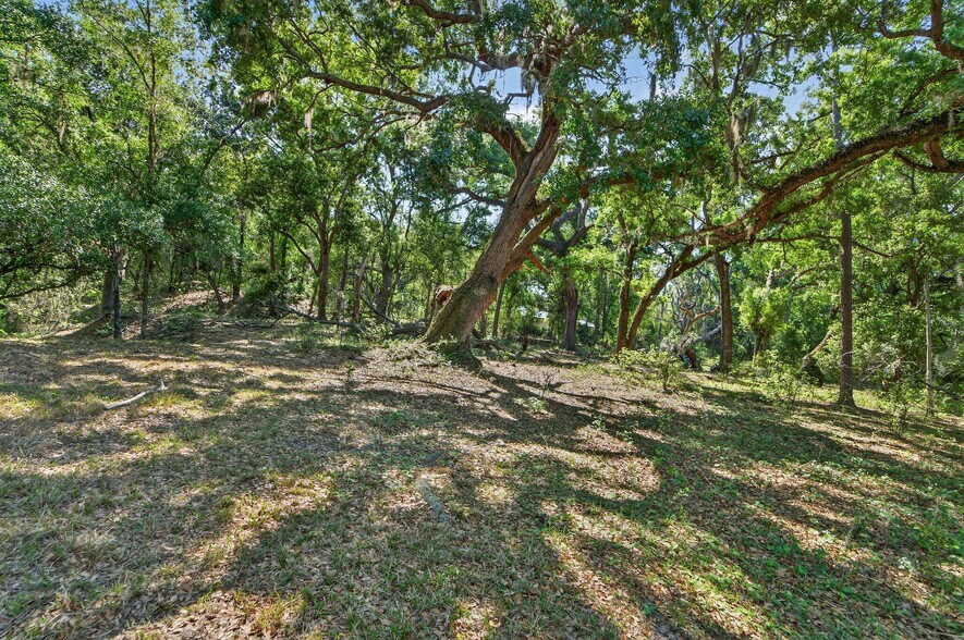 More Photos Of Carlton Rd, Plant City Land For Sale