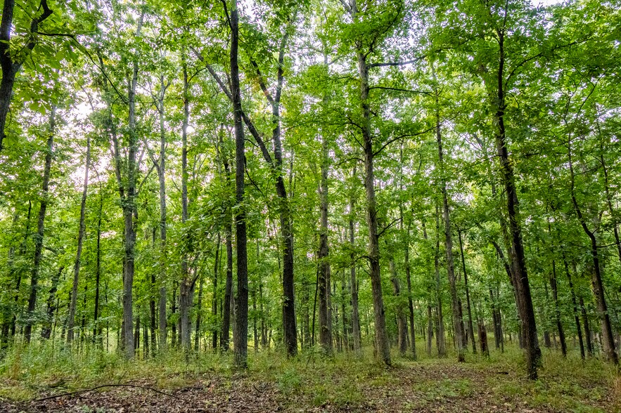 More Photos Of Highway D (77.2+/- Acres) Tract 1, Eolia Land For Sale