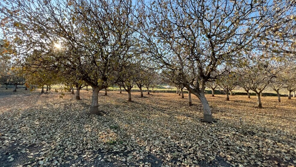 More Photos Of 9121 Pass Rd Rd, Sutter Land For Sale