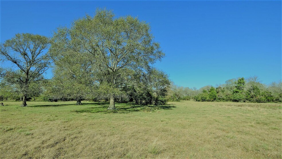 More Photos Of 26266 Fields Store Rd., Waller Land For Sale