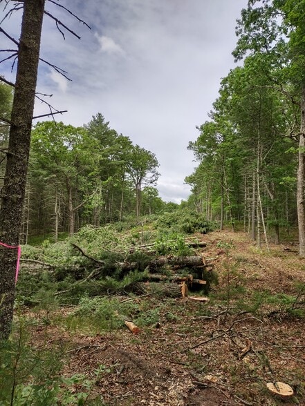 More Photos Of 333 Pendleton Hill, Voluntown Land For Lease