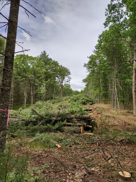 More Photos Of 333 Pendleton Hill, Voluntown Land For Lease