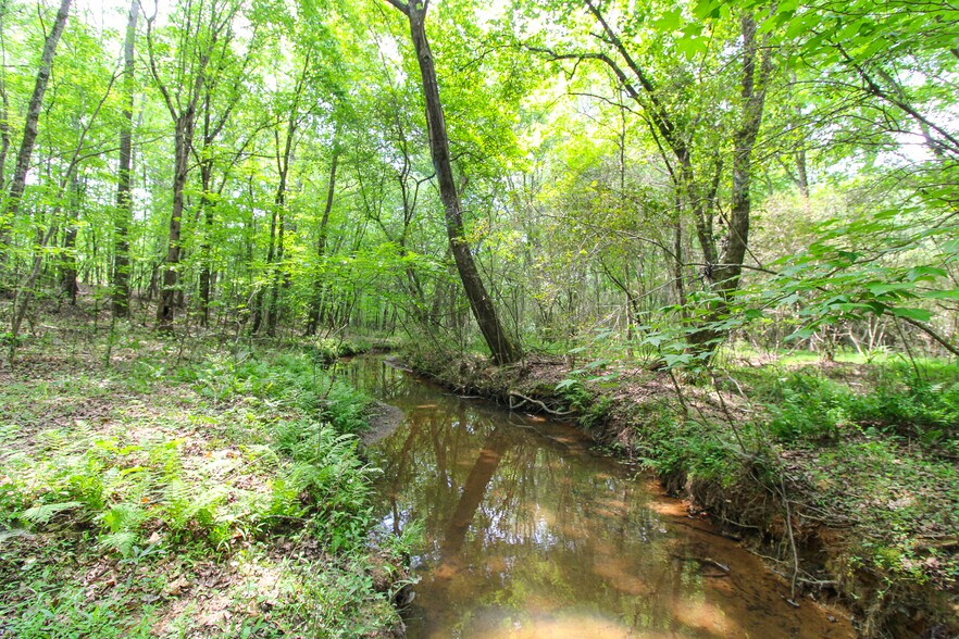 More Photos Of Powell Rd, Statham Land For Sale