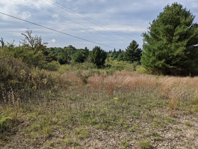 More Photos Of 21150 Michigan 68 Hwy, Onaway Land For Sale