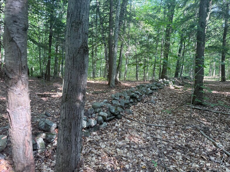 More Photos Of 375 Ormsbee Rd, Porter Corners Land For Sale