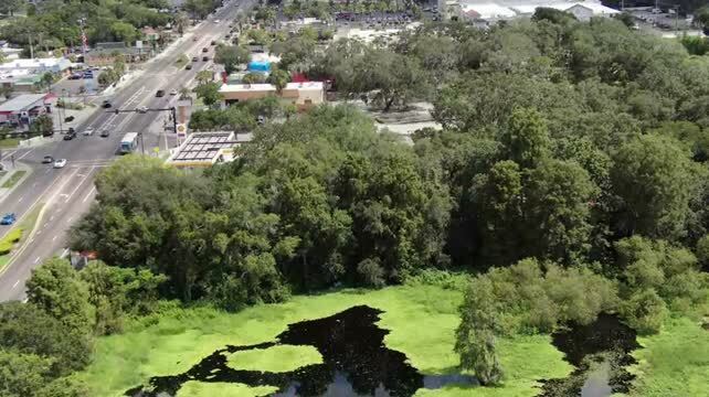 Primary Photo Of 8447 N 56th St, Tampa Land For Sale