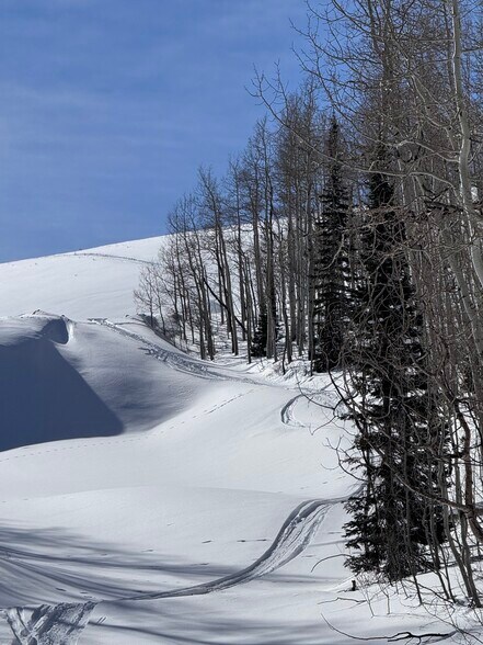 More Photos Of Parcels Logan lot 724 - U.P. No.2 lot 724 @ Red Cloud Rd., Park City Land For Sale