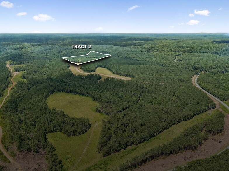 More Photos Of 1420 Big Swan Creek Rd, Summertown Land For Sale