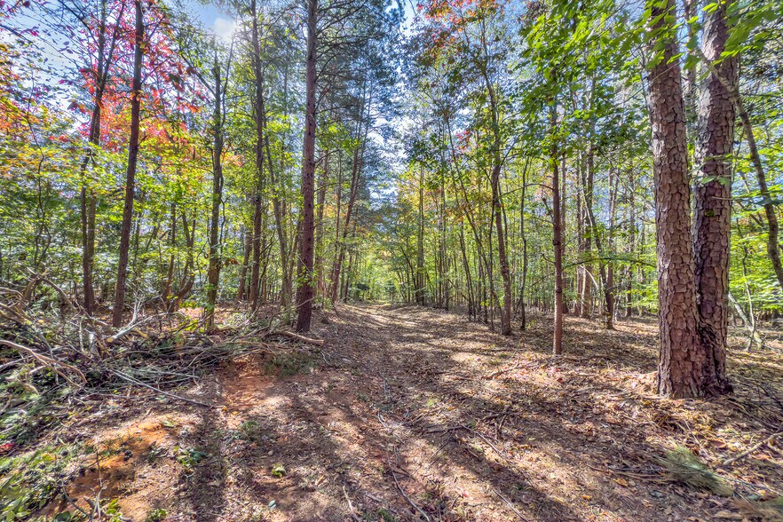 More Photos Of 3790 Cannons Campground Rd, Spartanburg Land For Sale