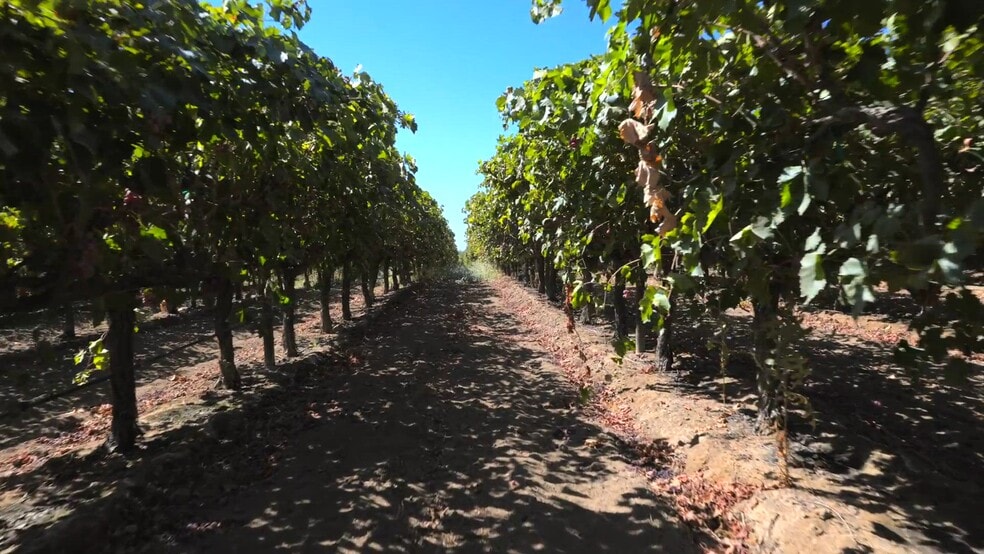 Primary Photo Of 34338 Nevis Ave, Mc Farland Horse Stables For Sale