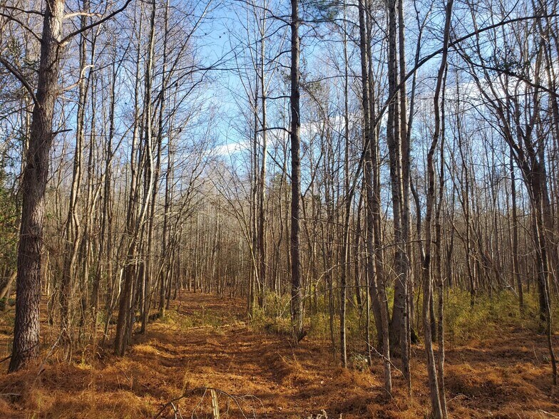 More Photos Of 00 Martin Pond, Wendell Land For Sale