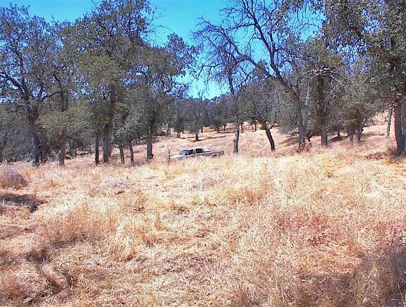 More Photos Of 38176 Cardinal, Yokuts Valley Land For Sale