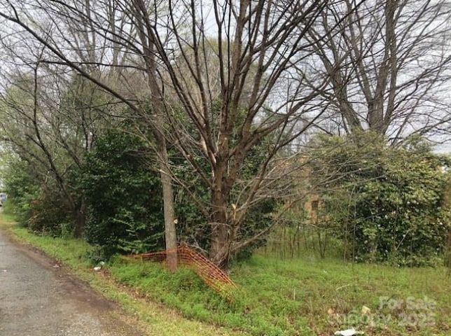 Primary Photo Of 4833 Hickory Grove Rd, Charlotte Land For Sale