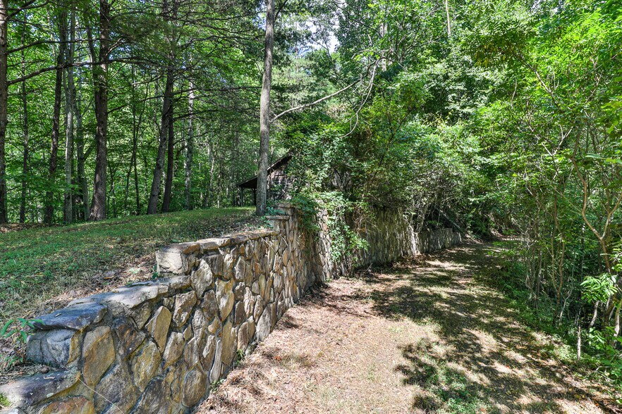 More Photos Of Mountain Cove Estates Rd, Cherry Log Land For Sale