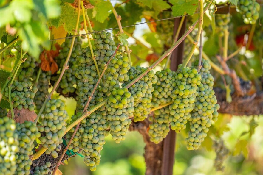 More Photos Of 31630 Forwards Rd, Manton Land For Sale